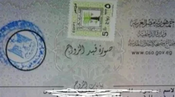 كيف تستخرج قسيمة زواج إلكترونية عبر منصة مصر الرقمية في أقل من 10 دقائق؟